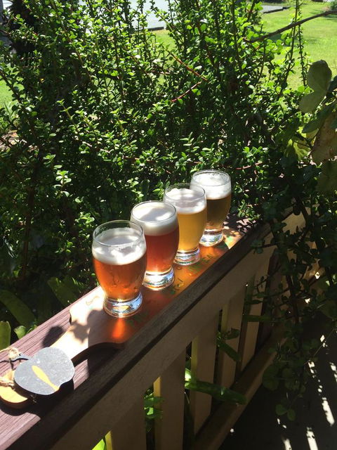 The Bearded Dragon Boutique Hotel - Accommodation Sunshine Coast 31