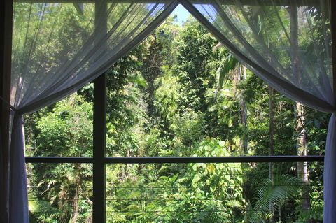 Silky Oaks Lodge - Accommodation Sunshine Coast 3