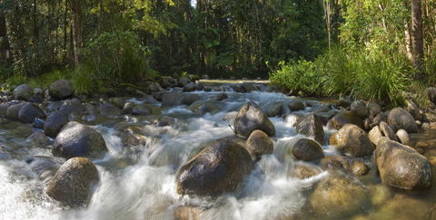 Silky Oaks Lodge - Accommodation Sunshine Coast 20