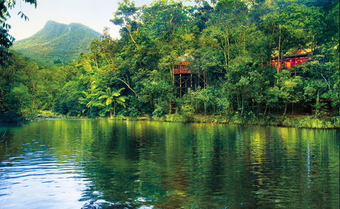 Silky Oaks Lodge - Accommodation Sunshine Coast 8