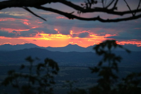 The Polish Place - Accommodation Sunshine Coast 4