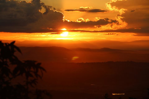 The Polish Place - Accommodation Sunshine Coast 21
