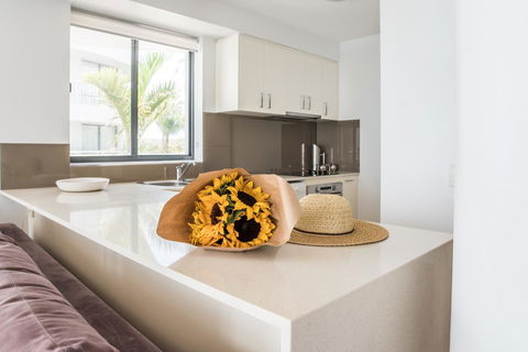 Noosa Pacific Resort - Accommodation Sunshine Coast 5