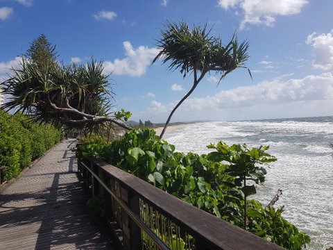 Beach House On Jones Parade, Central Coolum Beach - Accommodation Sunshine Coast 12
