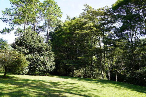 McCarthy Grove Maleny - Accommodation Sunshine Coast 2