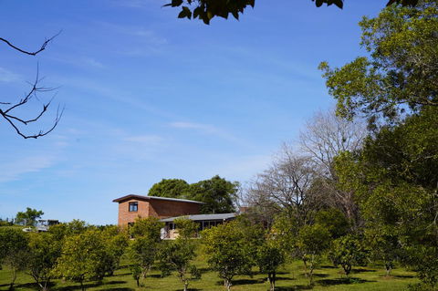 McCarthy Grove Maleny - Accommodation Sunshine Coast 4