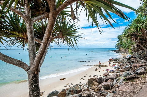 Noosa De Villa - Accommodation Sunshine Coast 15