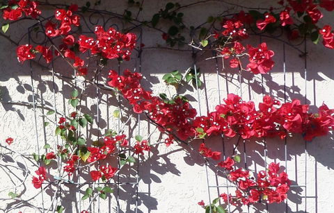 Gaia On Bribie Island - Accommodation Sunshine Coast 35