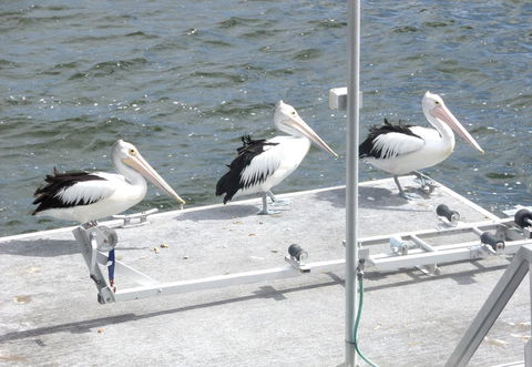 Gaia On Bribie Island - Accommodation Sunshine Coast 40