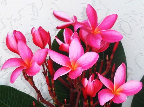 Gaia On Bribie Island - Accommodation Sunshine Coast 31