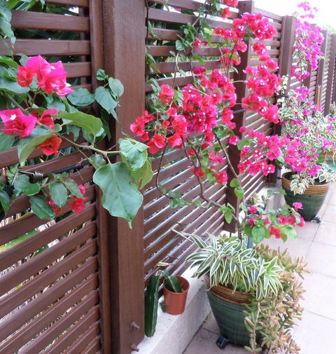 Gaia On Bribie Island - Accommodation Sunshine Coast 43