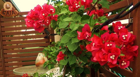 Gaia On Bribie Island - Accommodation Sunshine Coast 26