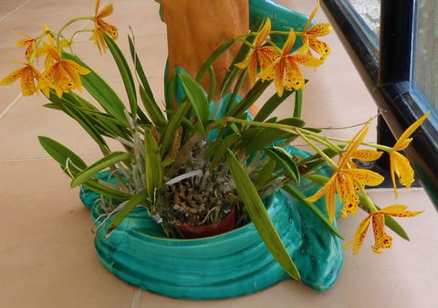 Gaia On Bribie Island - Accommodation Sunshine Coast 44