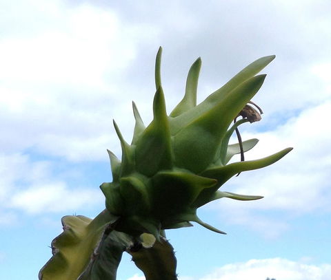 Gaia On Bribie Island - Accommodation Sunshine Coast 22