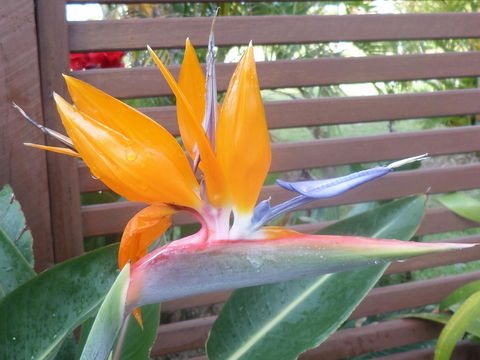 Gaia On Bribie Island - Accommodation Sunshine Coast 38