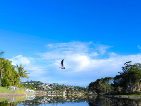 Bay Of Palms - Accommodation Sunshine Coast 18