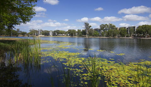 Jacana Apartments - Accommodation Sunshine Coast 15