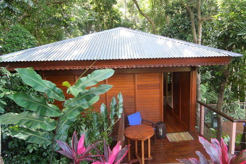 Cairns Rainforest Retreat - Accommodation Sunshine Coast 5