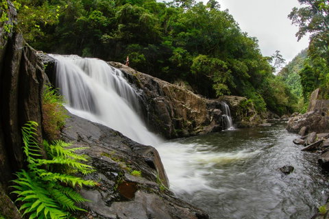 Coral Tree Inn - Accommodation Sunshine Coast 40