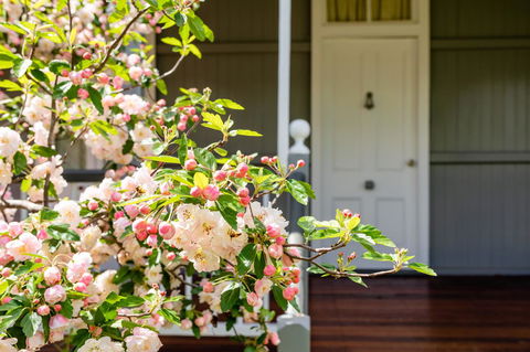 Apple Blossom Cottages - Accommodation Sunshine Coast 2