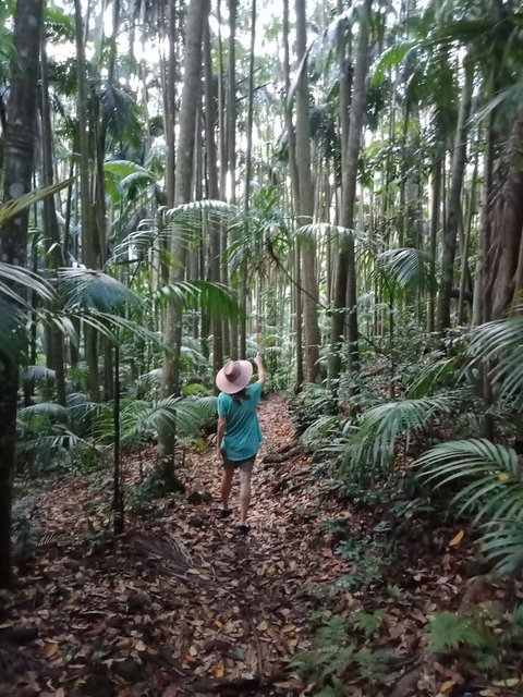 Manitzky Magic -B&B Home With Heart - Accommodation Sunshine Coast 27
