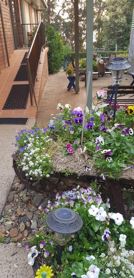 Manitzky Magic -B&B Home With Heart - Accommodation Sunshine Coast 8