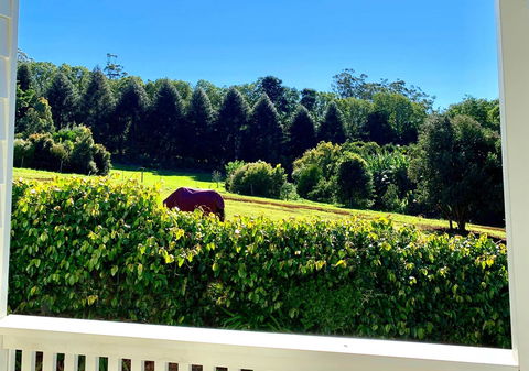 Hampton Estate Wines - Accommodation Sunshine Coast 11