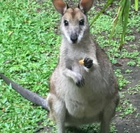 Bluewater Bed  Breakfast Cairns - Accommodation Sunshine Coast