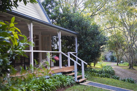 Curtis Falls Cottage - Accommodation Sunshine Coast 15