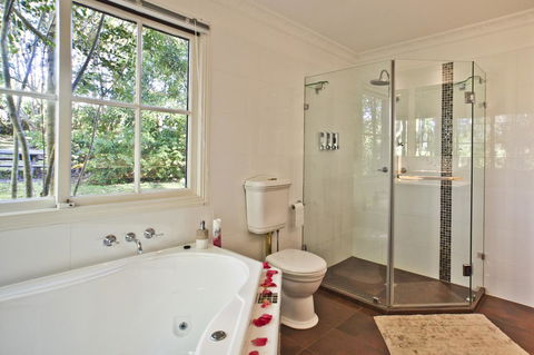 Curtis Falls Cottage - Accommodation Sunshine Coast 4