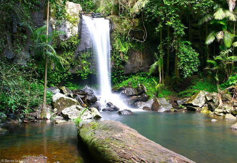 Curtis Falls Cottage - Accommodation Sunshine Coast 22