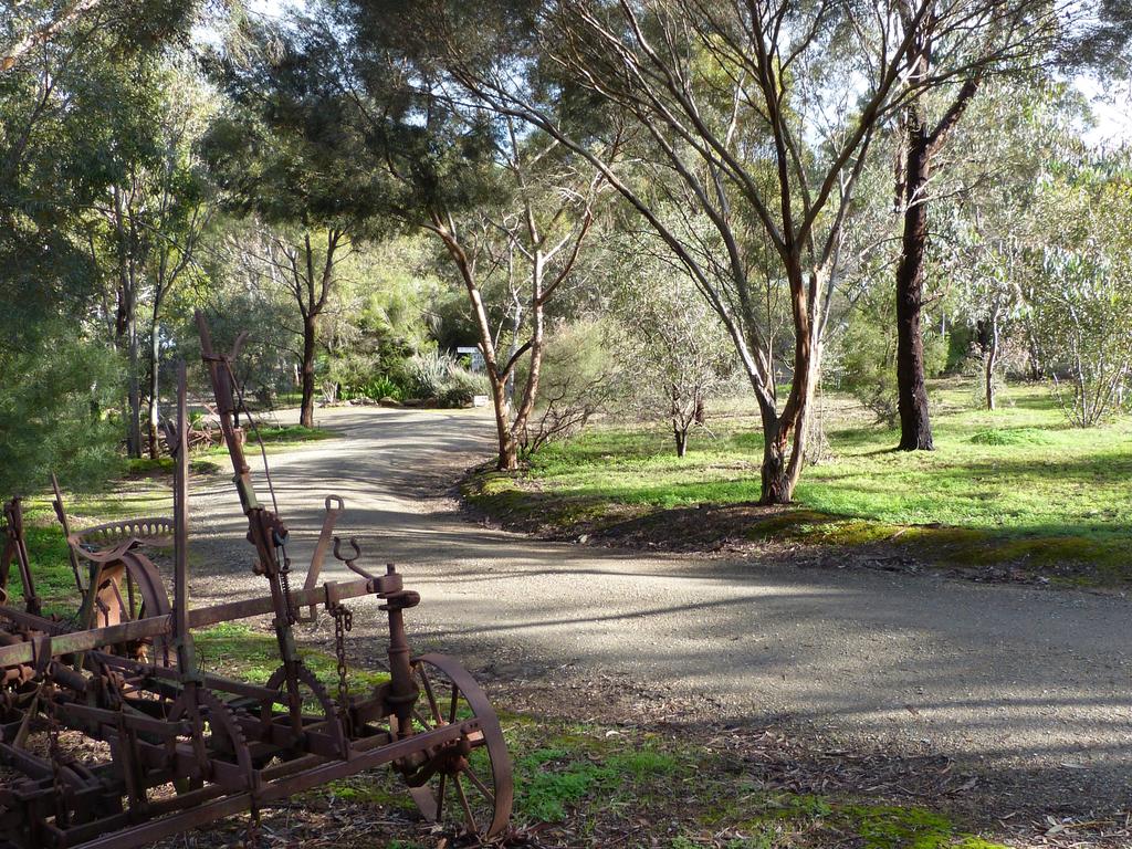 Middle Beach SA Accommodation Sunshine Coast
