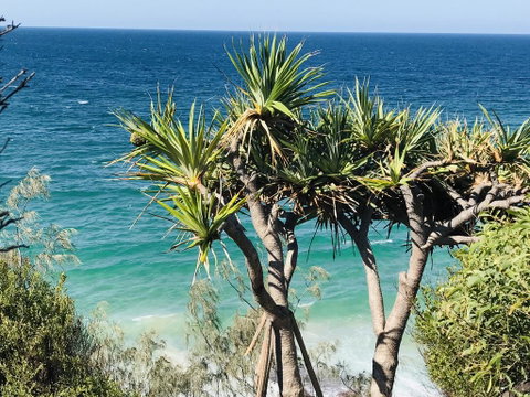 Waves And White Horses Seaview Retreat (adults Only) - Accommodation Sunshine Coast 0