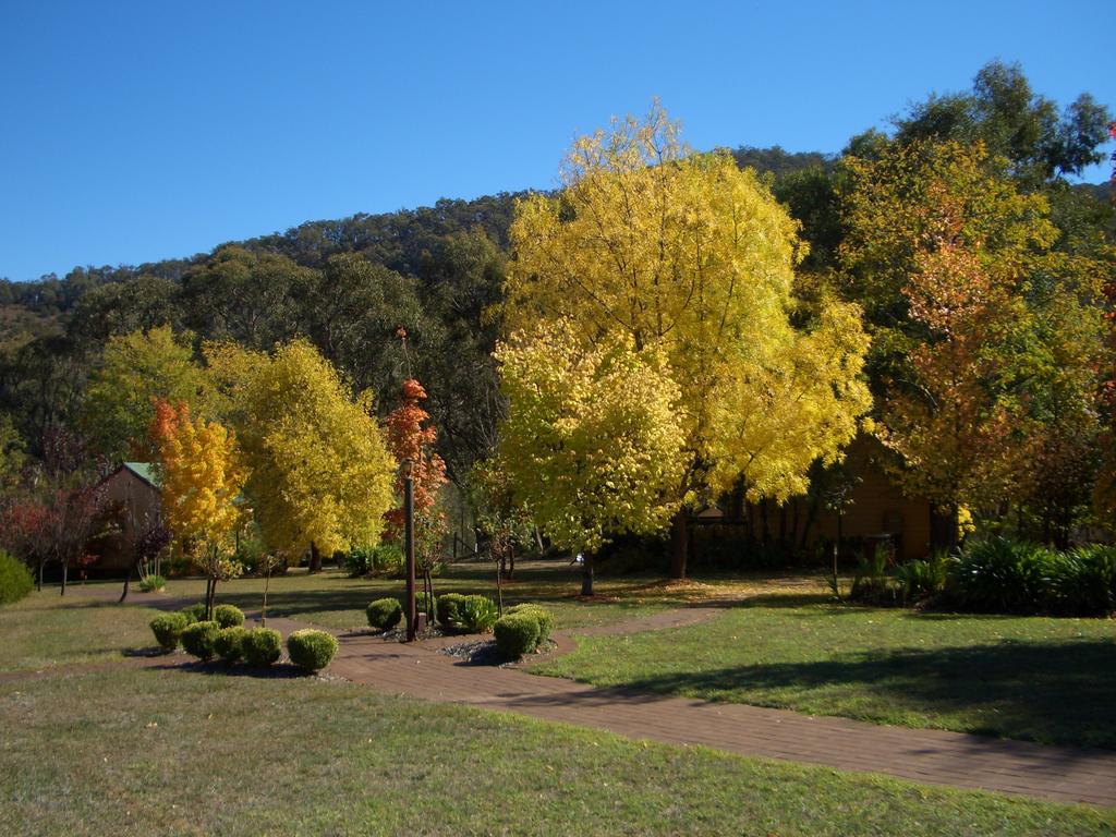 Delatite VIC Accommodation Sunshine Coast