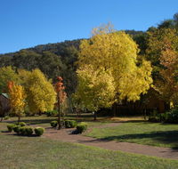 Willowlake Cottages - Accommodation Sunshine Coast