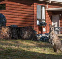 Wonderland Cottages - Accommodation Sunshine Coast