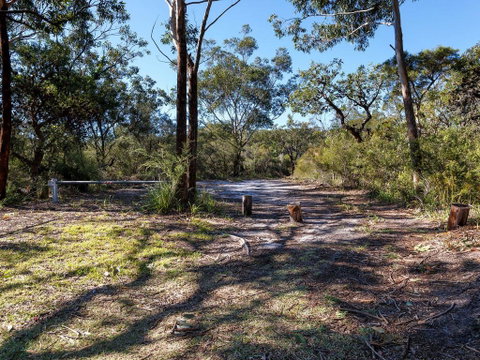 Wongaburra - Accommodation Sunshine Coast 2