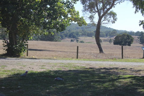 Wonky Stables Holiday Park - Accommodation Sunshine Coast 2