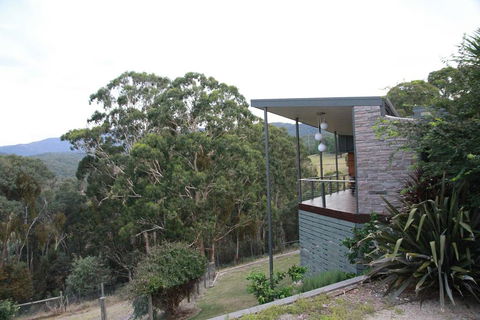 Woollybutt - Accommodation Sunshine Coast 0