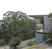 Woollybutt - Accommodation Sunshine Coast