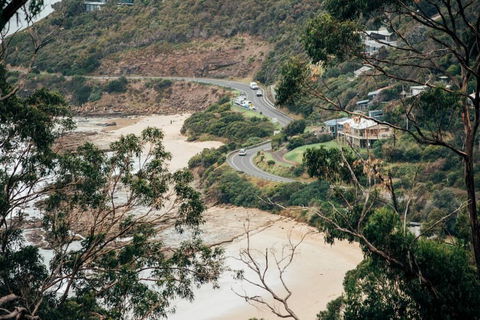 WYE UP - Through The Treetops. Out To The Sea. - Accommodation Sunshine Coast 2