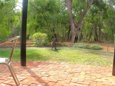 Yallingup Pet Friendly Bush Retreat - Accommodation Sunshine Coast 3