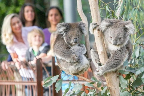 A 3BR Apt Next To Melbourne Zoo FREE Parking - Accommodation Sunshine Coast 2