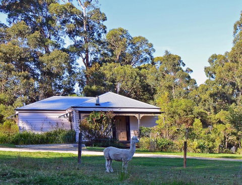 Araluen Park Cottages - Accommodation Sunshine Coast 0