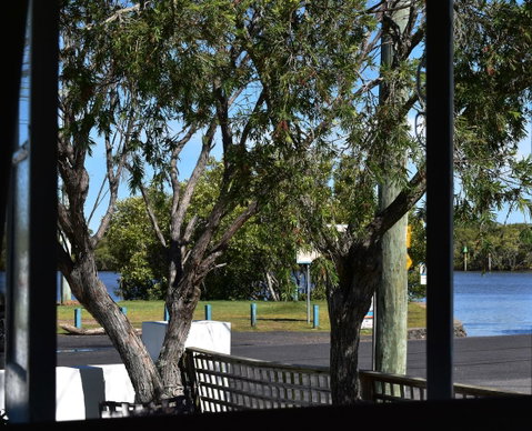 Absolute Waterfront - Accommodation Sunshine Coast 7