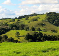 Maleny Springs Farm - Accommodation Sunshine Coast