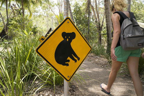 Roamer Magnetic Island Koala Park - Formerly Selina Magnetic Island - Accommodation Sunshine Coast 27