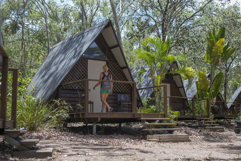 Roamer Magnetic Island Koala Park - Formerly Selina Magnetic Island - Accommodation Sunshine Coast 5