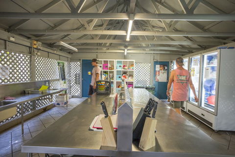 Roamer Magnetic Island Koala Park - Formerly Selina Magnetic Island - Accommodation Sunshine Coast 28