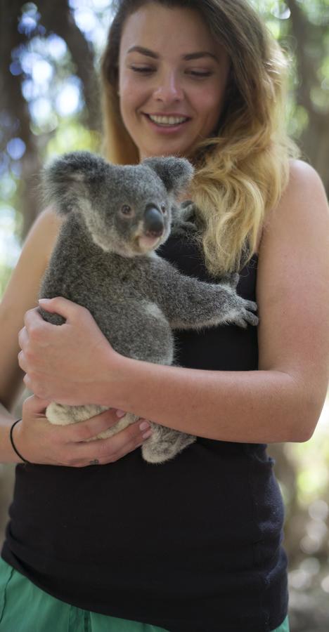 Roamer Magnetic Island Koala Park - Formerly Selina Magnetic Island - Accommodation Sunshine Coast 12